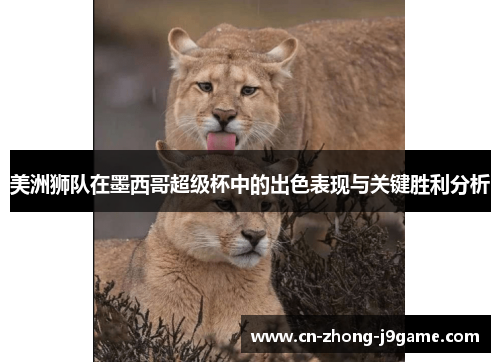 美洲狮队在墨西哥超级杯中的出色表现与关键胜利分析 美洲狮队在墨西哥超级杯中的出色表现与关键胜利分析